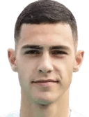 دييغو هنريكي