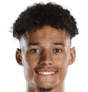 ريس ويليامز