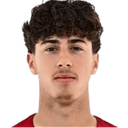 دينيس دايبر