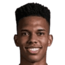 استيفاو غونكالفيس