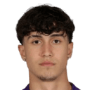 سانيل سالجيتش