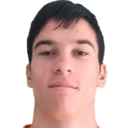 زولتان فارجا