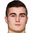 نيرمين كاريتش