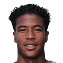 ريان فلامينغو