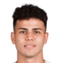 روبرتو فييايبا