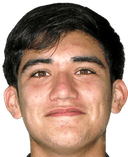 فيسنتي لافين