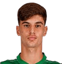 روبرتو دوارتي ريبيرو