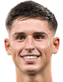 مارتن فيتكال