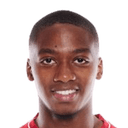 ميشيل أنجي باليكويشا