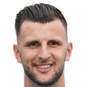 ديان بوزيتش