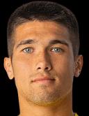 دميتري بيريفيرزيف