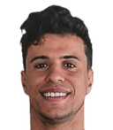 فوزي الحناوي