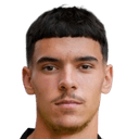 ستيفان رايسيفيتش