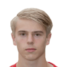 سيل فان دير ويغن