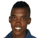 ويلمان بابون