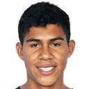 ديفيس فاسكيز