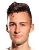 فيليكس هيغل