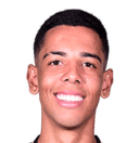 ماتيوس هنريك سيلفا