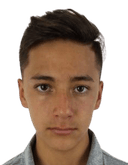 أري إفراين كروز