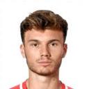 دومينيك شفيتسر