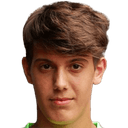 فرانز شتولتز