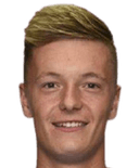 سفين بلوميل