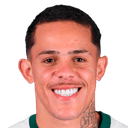 واليسون لويز ماكسيمو