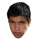 ريتشارد ليتون