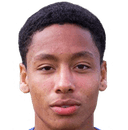 شون دومينيك روبرتسون