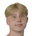 إيميلي هونكولا