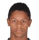 كريستيان ميخال