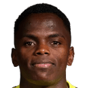 جوهان توريس