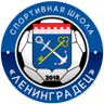 एसएसएच लेनिनग्राडेट्स गाचिना