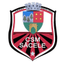सीएसएम सासेले