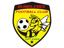 নিউ বাম্বলবি নিউ বাম্বলবি