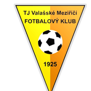 تي جيه فالاسك ميزيريسي