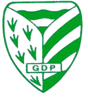 জিডি পেলারিগা ইউ১৯