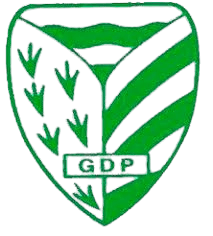 জিডি পেলারিগা ইউ১৯