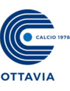 एसएसडी ओट्टाविया