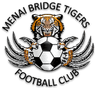 মেনাই ব্রিজ টাইগারস