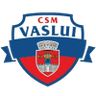 CSSM Vaslui