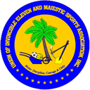 इनविंसिबल इलेवन