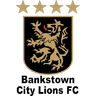 बैंकस्टाउन सिटी लायंस यू20
