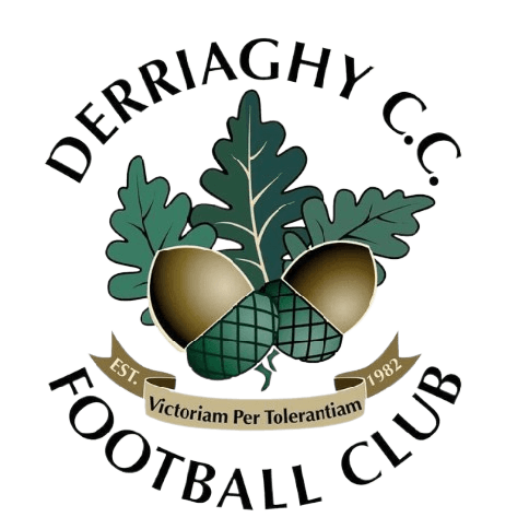 Derriaghy FC