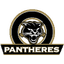 بانثيرز