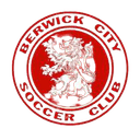 বারউইক সিটি