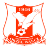 Orzel Walcz