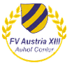 FV النمسا الثالثة عشرة