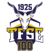 টিএফএসই বুদাপেস্ট