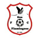 سوا فلامينغوس